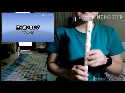 【空も飛べるはず】耳コピ　リコーダー(音階入り)