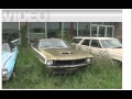 The Last AMC Dealer