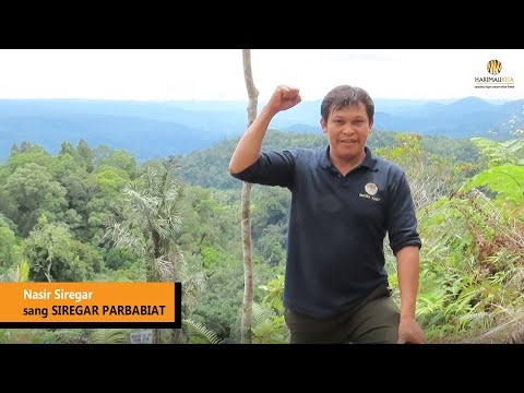 Video: Harimau Ussuri - keindahan utara