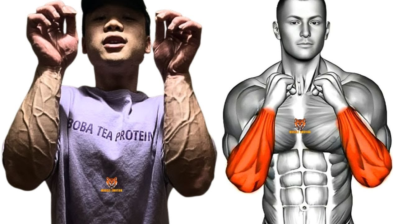 5 BEST Exercises for Bigger Forearms at Gym / HUGE FOREARMS - YouTube