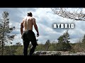 Hybrid Training: Calisthenics &amp; Weights - Always Workout