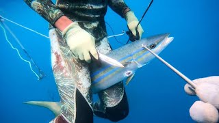 kingfish Catch N Cook | Christmas in Jamaica