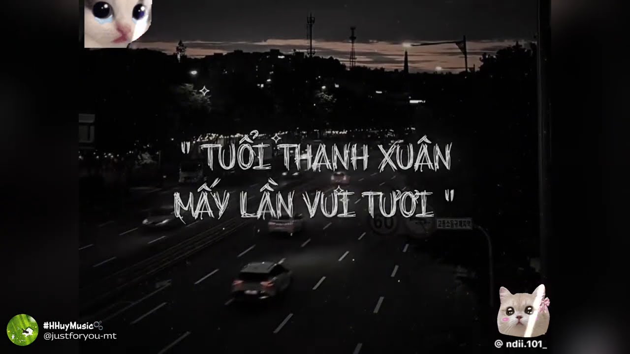 [TIKTOK] ✨Tổng hợp những bản nhạc lyrics cực cuốn đang hot trên TikTok mà có thể bạn chưa biết 💫