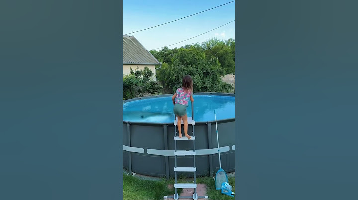 Real shark from swimming pool by Secret Vlog