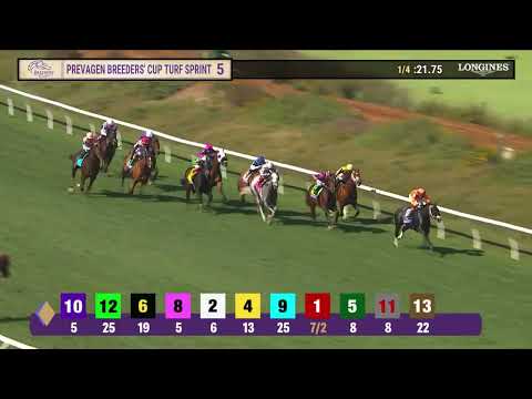 Race 5 Thumbnail