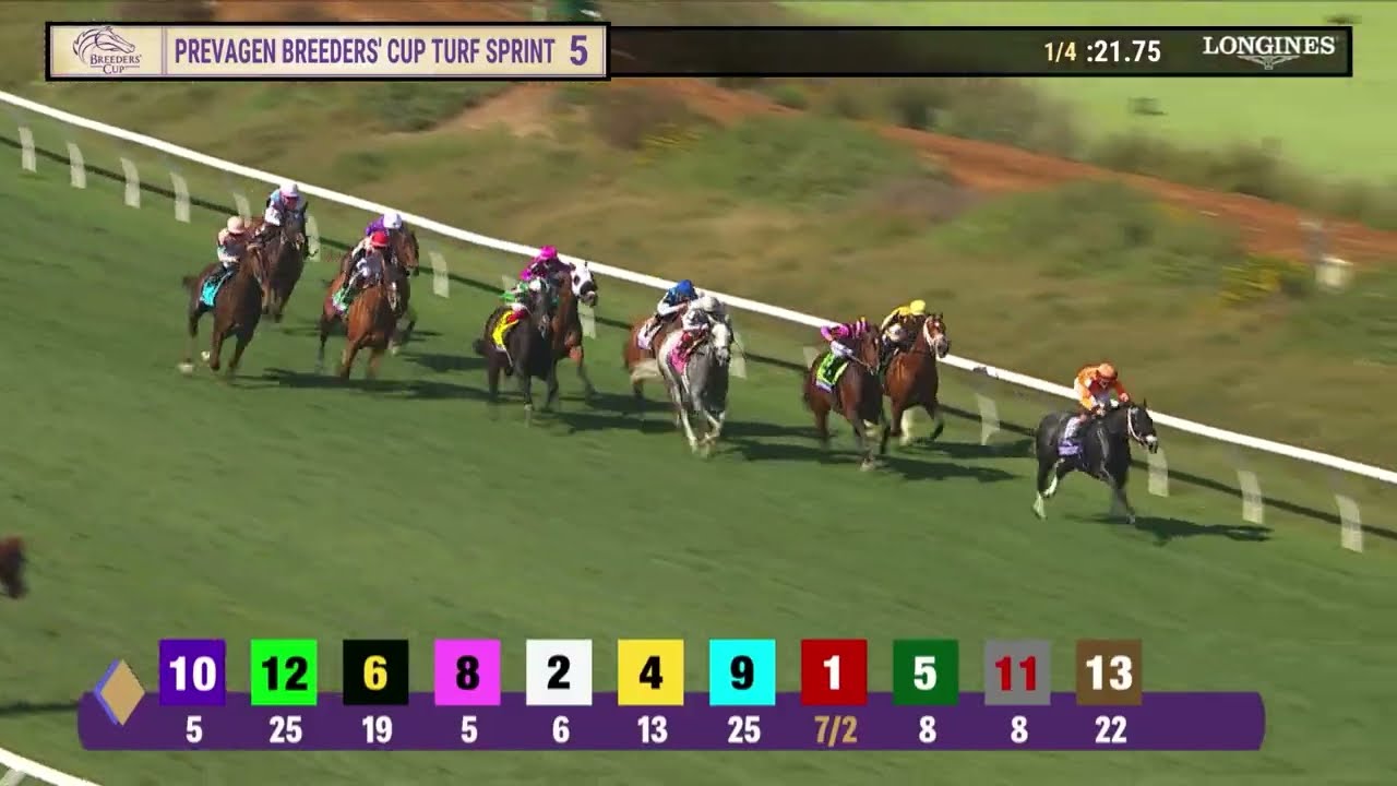 Шисоспайси побеждает в гонке BC Turf Sprint G.I. 5 в Дел Мар 1 ноября 2025 года