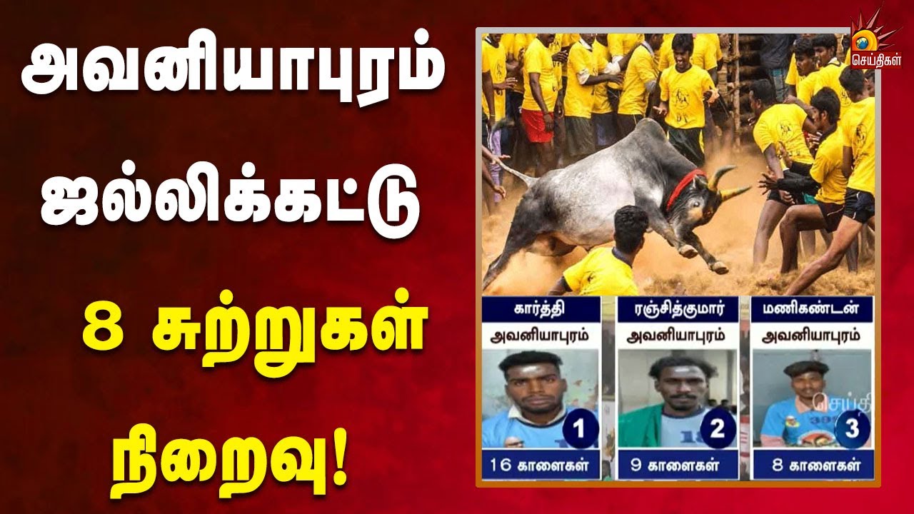Alanganallur Jallikattu |8 சுற்று முடிவில் 16 காளைகளை அடக்கி கார்த்தி முதலிடம்! | Kalaignar News