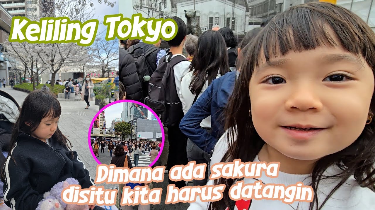Terlantar di Pinggir Jalan akibat Salah Lihat Jadwal !!! Tokyo Part 1