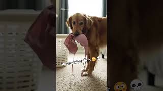 He Stole My Bra And Didnt Even Flinch