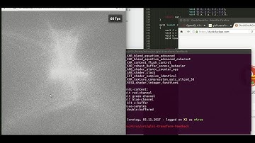 WebGL2 - Performance Linux vs. Windows with transform-feedback