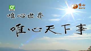 混元禪師法語81~90集【唯心天下事2593】｜ WXTV唯心電視台