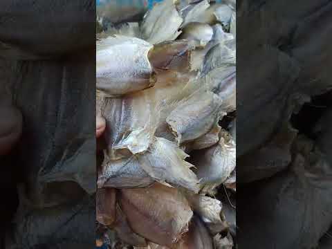 Video cá sặc bướm bao ngon.. khách cần l.hệ 0949897234 - youtube