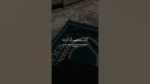 ﴿وَقالوا لولا أنزِلَ علَيهِ آيات من ربهِ﴾ سورة العنكبوت، القارئ عبد الرحمن مسعد #قرآن كريم #ارح قلبك