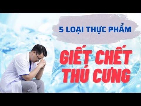 Video Các loại thức ăn gây ngộ độc cho chó mèo? Chó uống... - youtube
