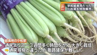 新型コロナで余剰に…給食用だった小松菜を特別販売！　東京・江戸川区