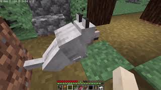 Köpeğim Tvörk Atıyor - Minecraft