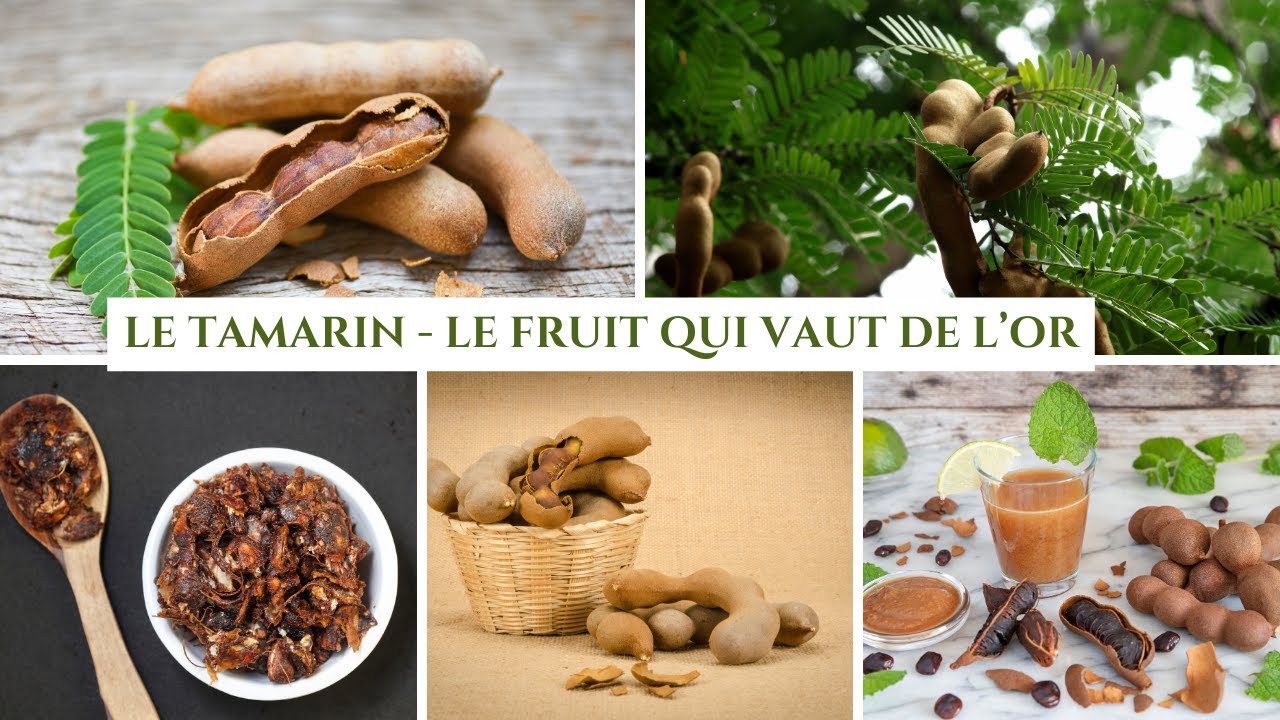 Le Tamarin - Votre Remède Nature Contre La Constipation - YouTube