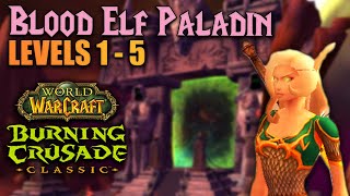 Blood Elf Paladin Starting Zone 1-5 Thoughts & Overview | TBC Classic Beta