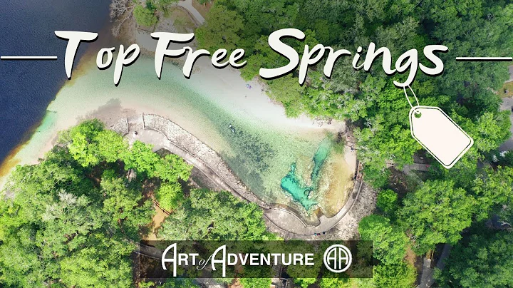Top Free Springs in Florida worth the drive, plus ...