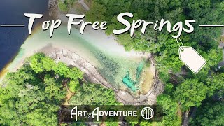 Top Free Springs in Florida PLUS a $2 "private spring" you have to see to believe!