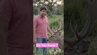 Uttar Pradesh State Animals I Do You Know This About Animals #animalfacts #wildlife #animals