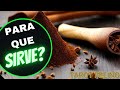 CLAVO DE OLOR 🌱 BENEFICIOS para la salud PODER MAGICO Y ESOTERICO propiedades MEDICINALES