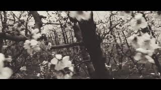 Kısa Üzücü Videolar