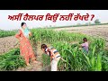Ham Halper Q Nhi Rakhte ? Farmer's  Life Very hardworking Life || Punjabi Woman Hardworking Life