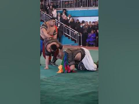 Өвөр Монгол бөх Давхарбаярын барилдаан - YouTube