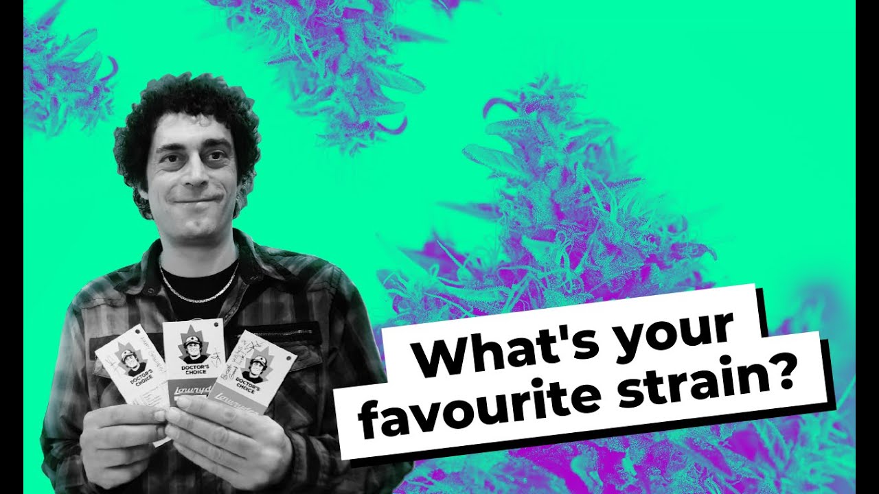 Joint Doctor's favourite strain