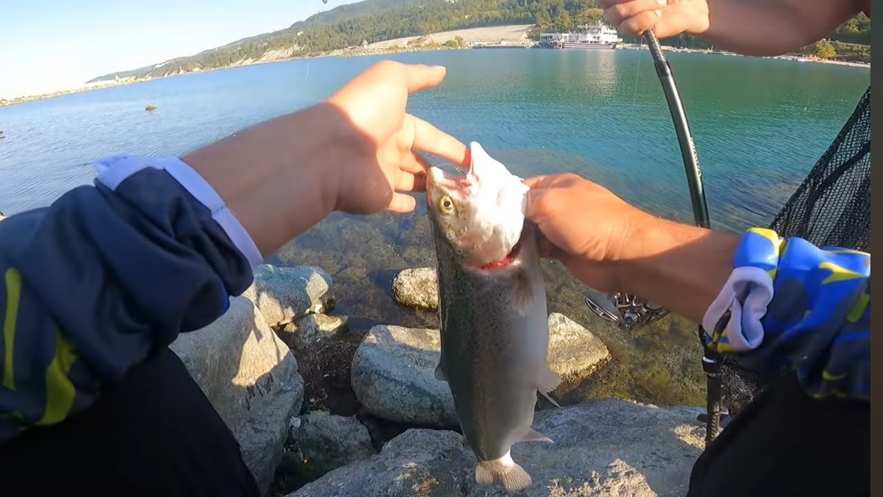 Liman İçinde Somon Balığı  Avı! Bu Kadarını Beklemiyordum 🎣