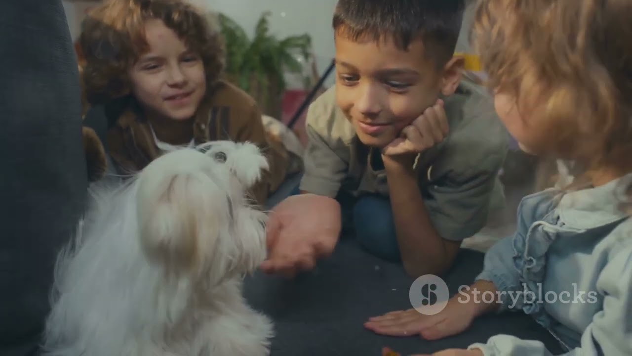 Groodles | The Smartest Dogs | Groodle Intelligence