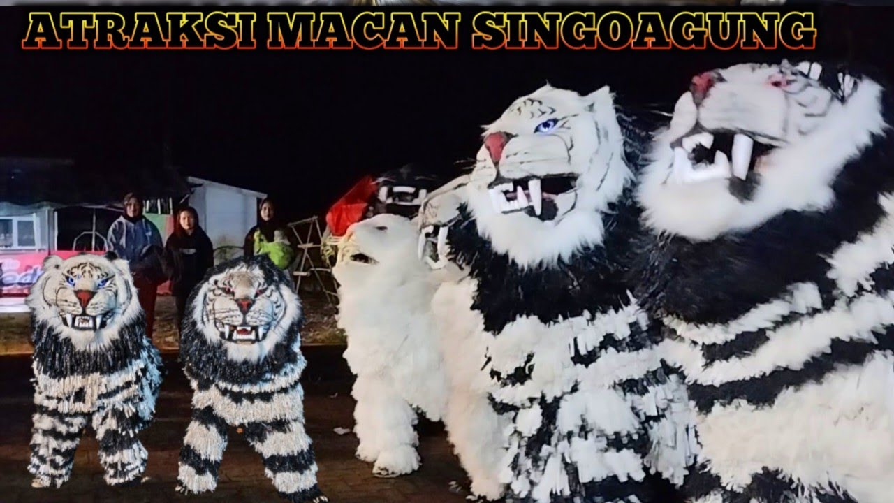 SERU|| ATRAKSI MACAN SINGOAGUNG MODE SALTO SEMUA LIVE SUMBER TENGAH @singoagung