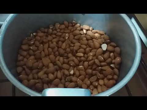 دخلو تشوفو كيفاش تكليو اللوز في الكوكوط بطريقة سهلة ومتميزة