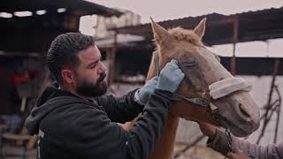 See our mobile clinics in the West Bank in action.