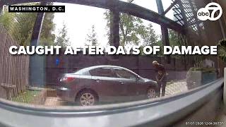 MPD arrests suspect in Northwest DC tire slashings