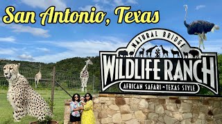 America EP 04: RoadTrip  Houston to San Antonio | Wildlife Safari | River Walk | Roving Couple