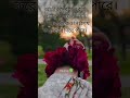 অতিরিক্ত কোন কিছুই ভালো না 🌼🌼🍀