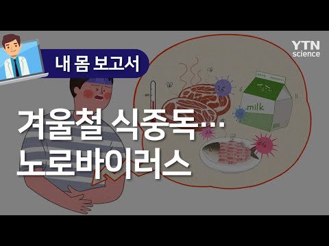 [내 몸 보고서] 겨울철 식중독…노로바이러스 / YTN 사이언스