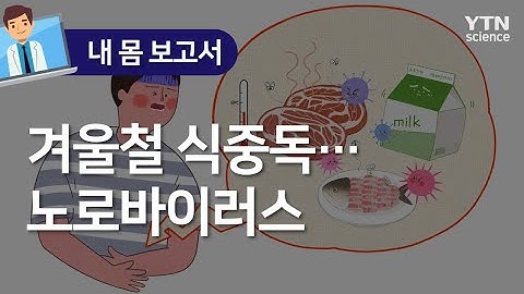 [내 몸 보고서] 겨울철 식중독…노로바이러스 / YTN 사이언스