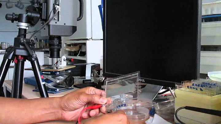 Quantum Dot LEDs -QLEDs_MVI 1122