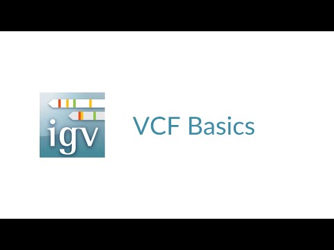 IGV | VCF Basics | VCF File Explanation & Viewing in IGV