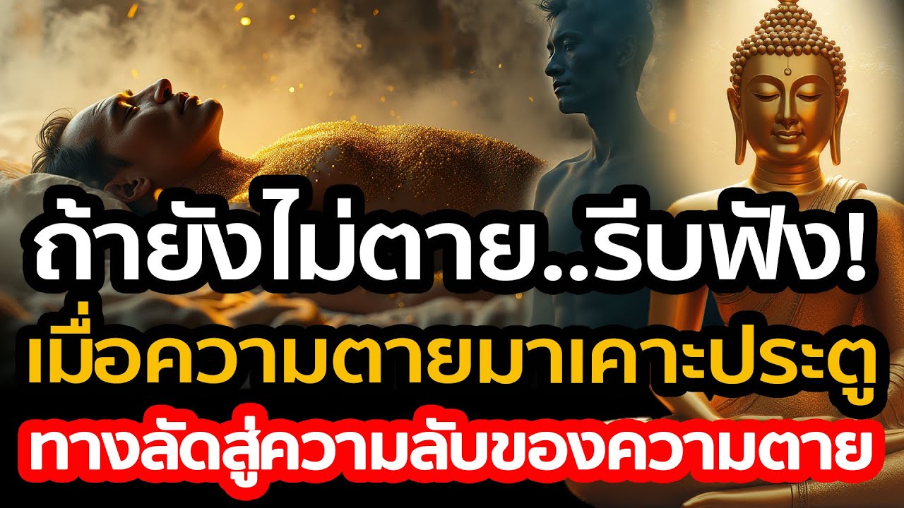 ถ้ายังไม่ตายให้รีบฟัง 