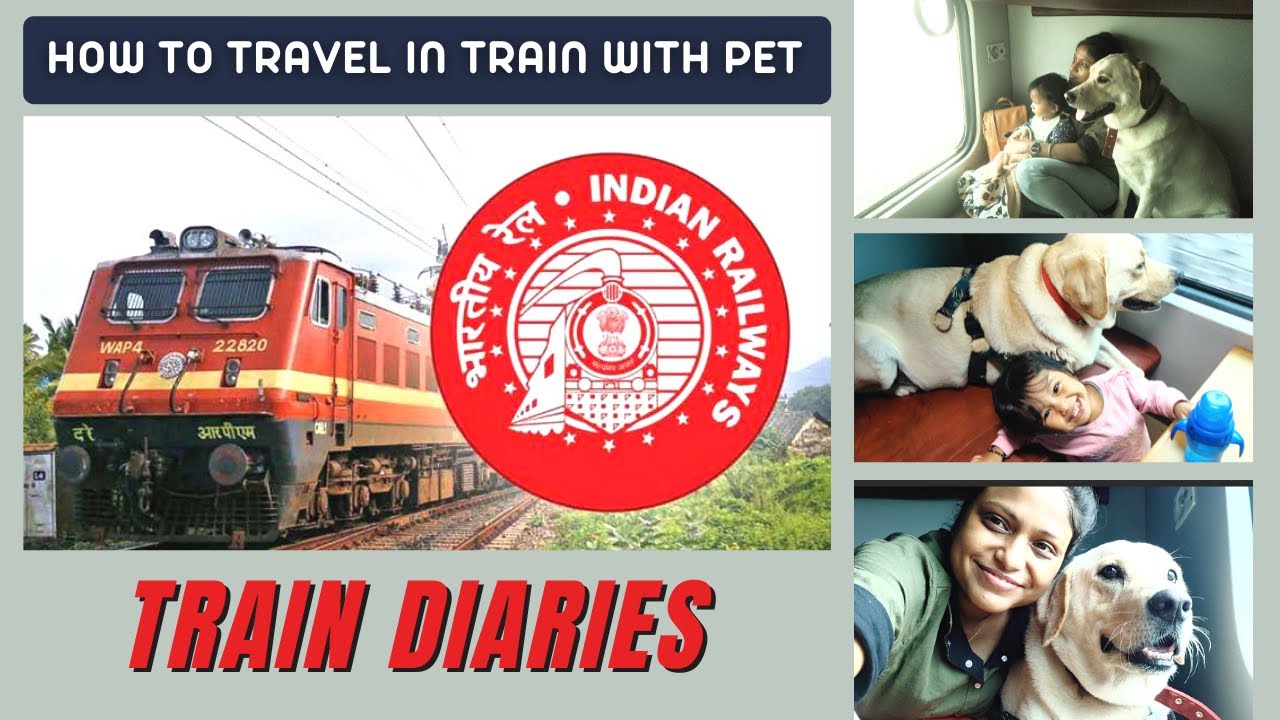 How To Travel With Your Pet In Indian Railways? Things You Should