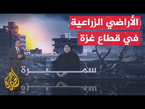 نافذة خاصة تسلط الضوء على تداعيات دمار القطاع الزراعي على سكان قطاع غزة
