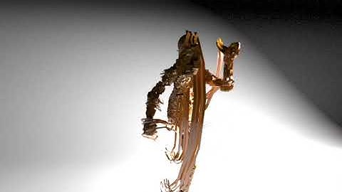 Visualization of Intangible Cultural Motion Capture Data