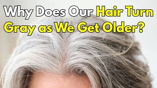 Why Do Our Hair Turn Gray as We Get Older