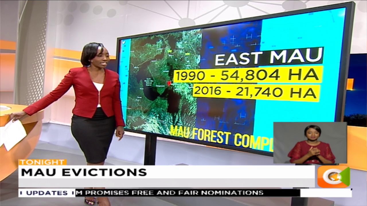 citizen tv live stream kenya EXPLAINER | What is at stake in the Mau forest complex?