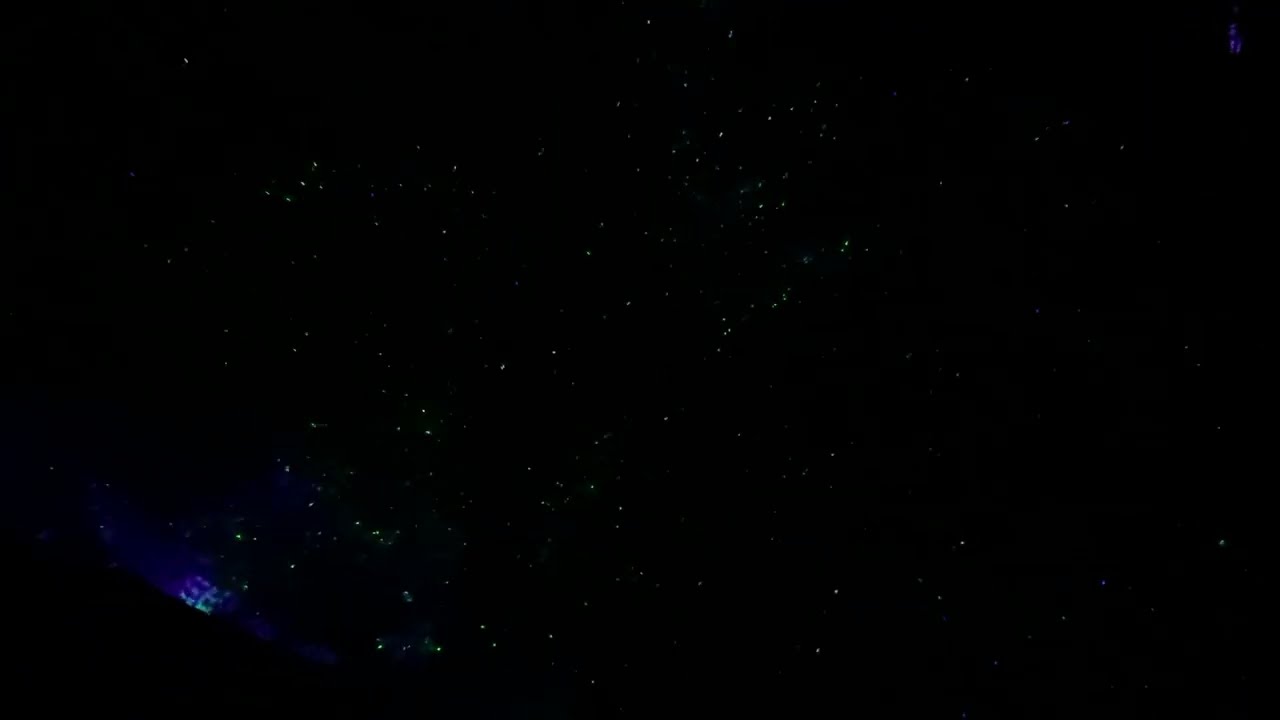 The Adventure Group: Vallea Lumina Creek Lights [July 30, 2025 10:51 PM]