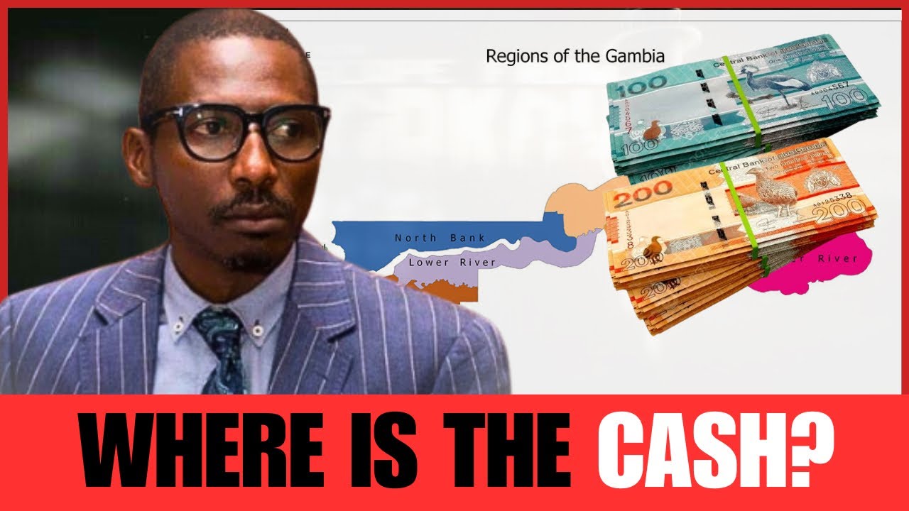 Nyang Njie: Economics, Politics and Public Service